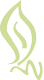 Owl Image